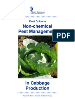 Field Guide To Non-Chemical Pest Management in Cabbage Production