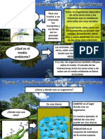 Tema 1 Medioambiente