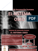 Tema 1 Sistema Oseo