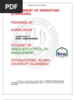 Download Marketing Strategies by Aamir Hayat SN16653866 doc pdf