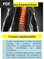 Trauma Raquimedular