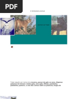 Simbolismo Animal e Animais de Poder