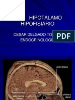 Hipotalamo-hpofisis