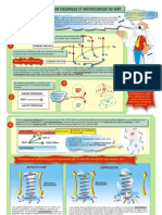 FP17-Circ-Cyclonique-08.pdf