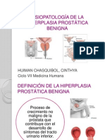 Fisiopatología de La Hiperplasia Prostática Benigna