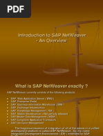 Introduction To Sap Netweaver - An Overview