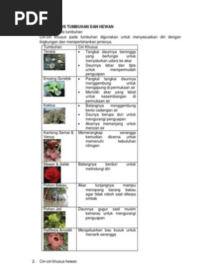 4400 Gambar Hewan Dan Ciri Ciri HD Terbaik