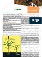 SorgoCrecimiento_y_desarrollo_del_cultivo.pdf