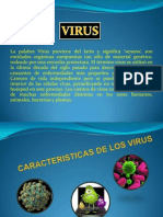 Caracteristicas de Los Virus