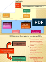 Sistema Nervioso Central S.N.C