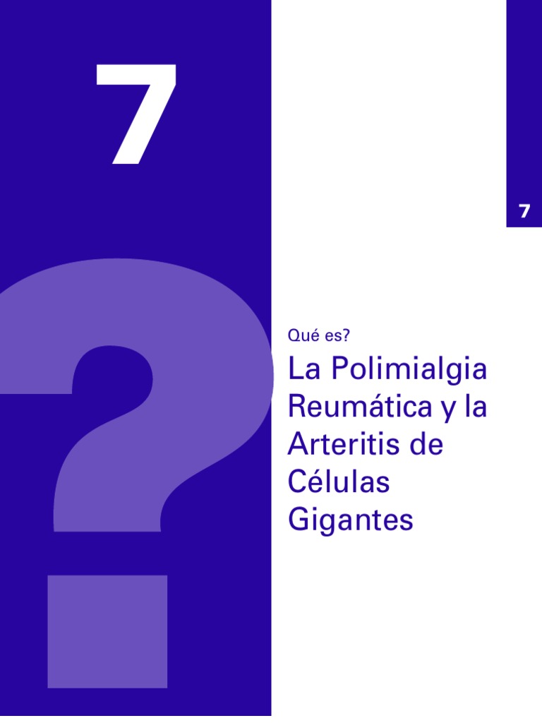 07 PDF | PDF