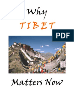 Why Tibet Matters Now 