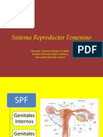 Sistema Reproductor Femenino