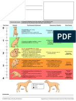 CSU Acute Pain Scale Canine