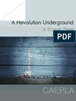 A Revolution Underground - A Sneak Peek