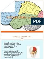 Sindromes Lobares