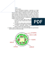 Actividad Exploratoria