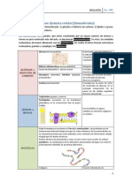 Celula Eucariota - Biomoleculas - Repaso