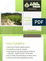 Forme Di Allevamento - Vaso Catalano - Diapositive