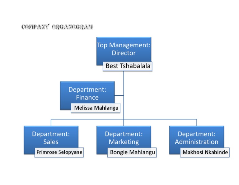 Top Management Team Overview | PDF | Self-Improvement