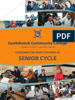 Castleknock Community College - Senior Cycle