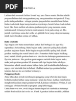 Download Program Fitness Untuk Pemula by Dhany SSat SN166661561 doc pdf