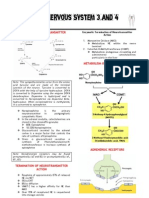 Autonomic Nervous System 3 and 4