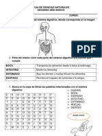 Sistema digestivo guía básica