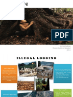 Illegal Logging Final Presentation