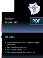 Fisura Ani