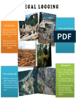 Poster of Illegal Logging