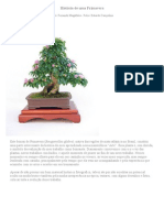 A história de uma Primavera se transforma em um belo bonsai