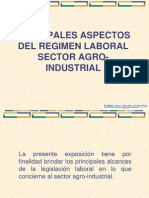 PrincipalesaspectosdelRegimenLaboralSectorAgro Industrial