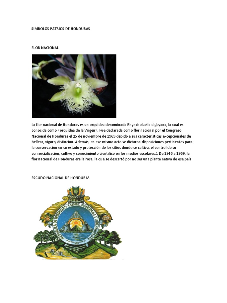 Simbolos Patrios De Honduras Centroamerica Los Bosques