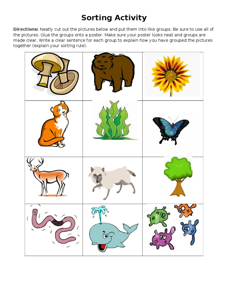 Sorting Activity for Organisms | PDF