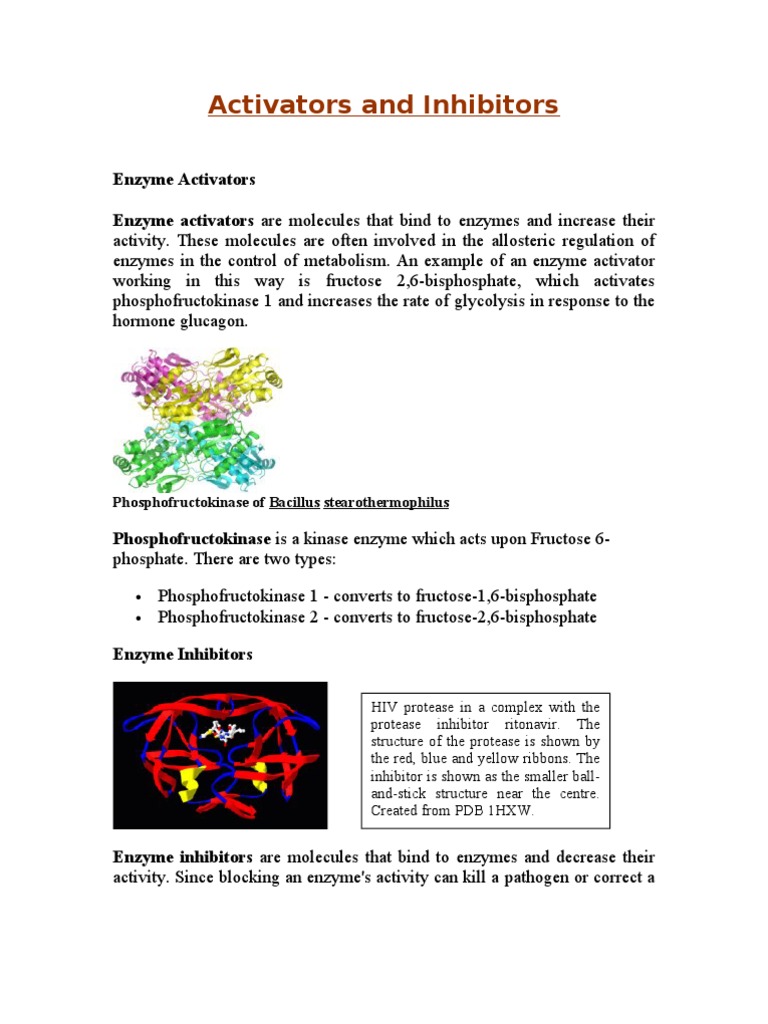 Activators and Inhibitors (Enzyme) Enzyme Inhibitor Active Site