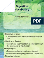 Digestive Vocabulary