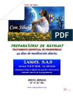 O6-Tratamiento 49 Dias de Prosperidad-Sexto Manual