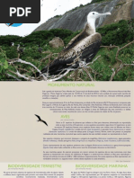 Monumento Natural das Ilhas Cagarras