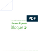 Multigrado B5