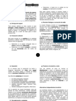 Proceso Editorial PDF