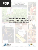 Orientaciones Curso Habilitacion Laboral 0