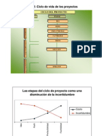 Ciclo de Vida de Los Proyectos