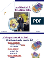 Ap Cell Tour 3 Make New Cells
