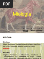 04_Miologia