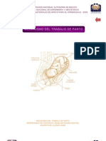 Mecanismo de Trabajo de Parto Unam PDF