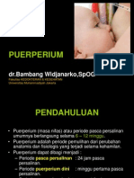 Puerperium
