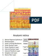 Anatomi Retina