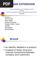 Download Brand Extension by akut1234 SN16702560 doc pdf