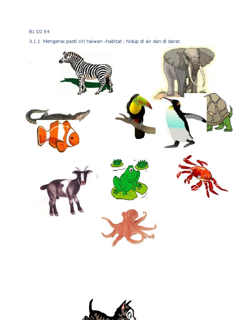 Haiwan Darat Dan Air Pdf